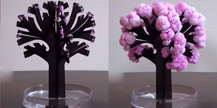 Cây nở hoa là một trong những món đồ chơi tuổi thơ kinh điển của thế hệ cũ. Món đồ chơi này gồm một tấm giấy bìa 3D hình thân cây, một giá đỡ và một túi nước hoá chất.