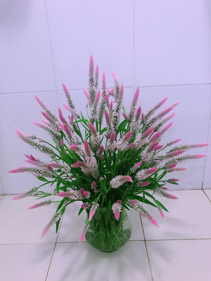 Loài cỏ gà gắn liền với tuổi thơ nhiều người bỗng trở thành bình hoa đẹp mắt trang trí trong nhà. Việc cắm loài cỏ này được cho rằng không cần quá nhiều sự khéo léo như vào bếp.