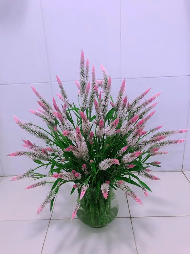 Loài cỏ gà gắn liền với tuổi thơ nhiều người bỗng trở thành bình hoa đẹp mắt trang trí trong nhà. Việc cắm loài cỏ này được cho rằng không cần quá nhiều sự khéo léo như vào bếp.