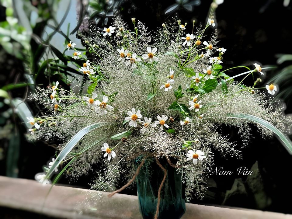 Cỏ dại và hoa xuyến chi là những loài thực vật mọc đầy ven đường cũng được hái về làm đẹp cho căn nhà. Thành quả khiến rất nhiều người bất ngờ vì không nghĩ lại đẹp như thế.