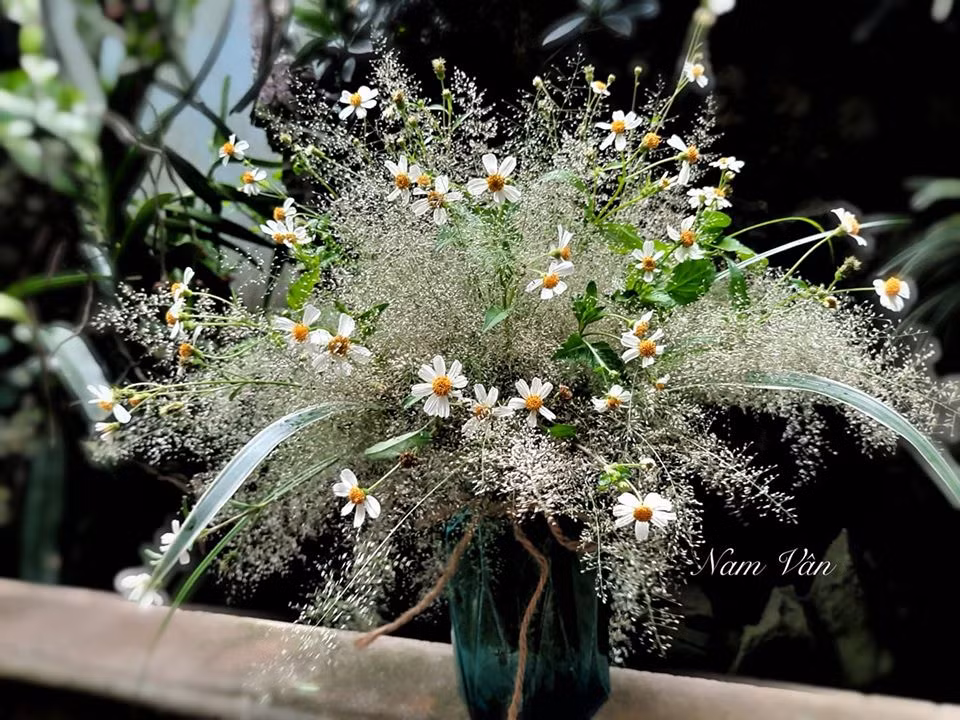Cỏ dại và hoa xuyến chi là những loài thực vật mọc đầy ven đường cũng được hái về làm đẹp cho căn nhà. Thành quả khiến rất nhiều người bất ngờ vì không nghĩ lại đẹp như thế.