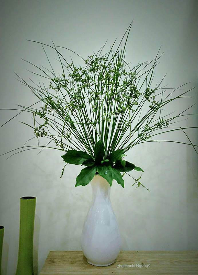 "Những bình hoa có giá 0 đồng, các mẹ khéo tay thật", "Chịu thua, thế mà cũng nghĩ ra được, nhưng trông đẹp thật mọi người ạ" - Dân mạng hào hứng bình luận.