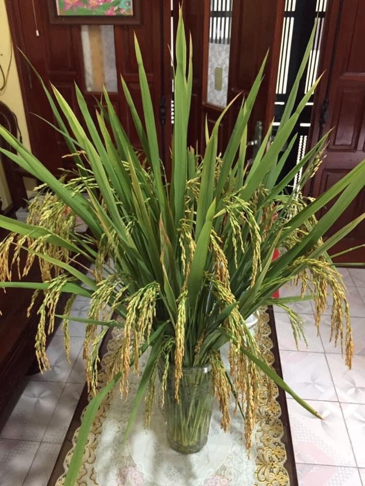 Sau khi "tàn phá" bếp thì hội gái đảm lại tiếp tục với thú chơi mới thú vị hơn rất nhiều mà không đòi hỏi quá nhiều sự khéo léo đó chính là cắm hoa. Tuy nhiên, loại hoa mà các chị em dùng cũng phải "khác người".