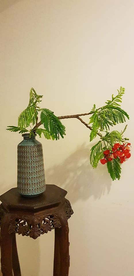 Thấy tiếc vì ngoài phố cắt cành hoa phượng, nhặt về có ngay một bình hoa nghệ thuật không đụng hàng.