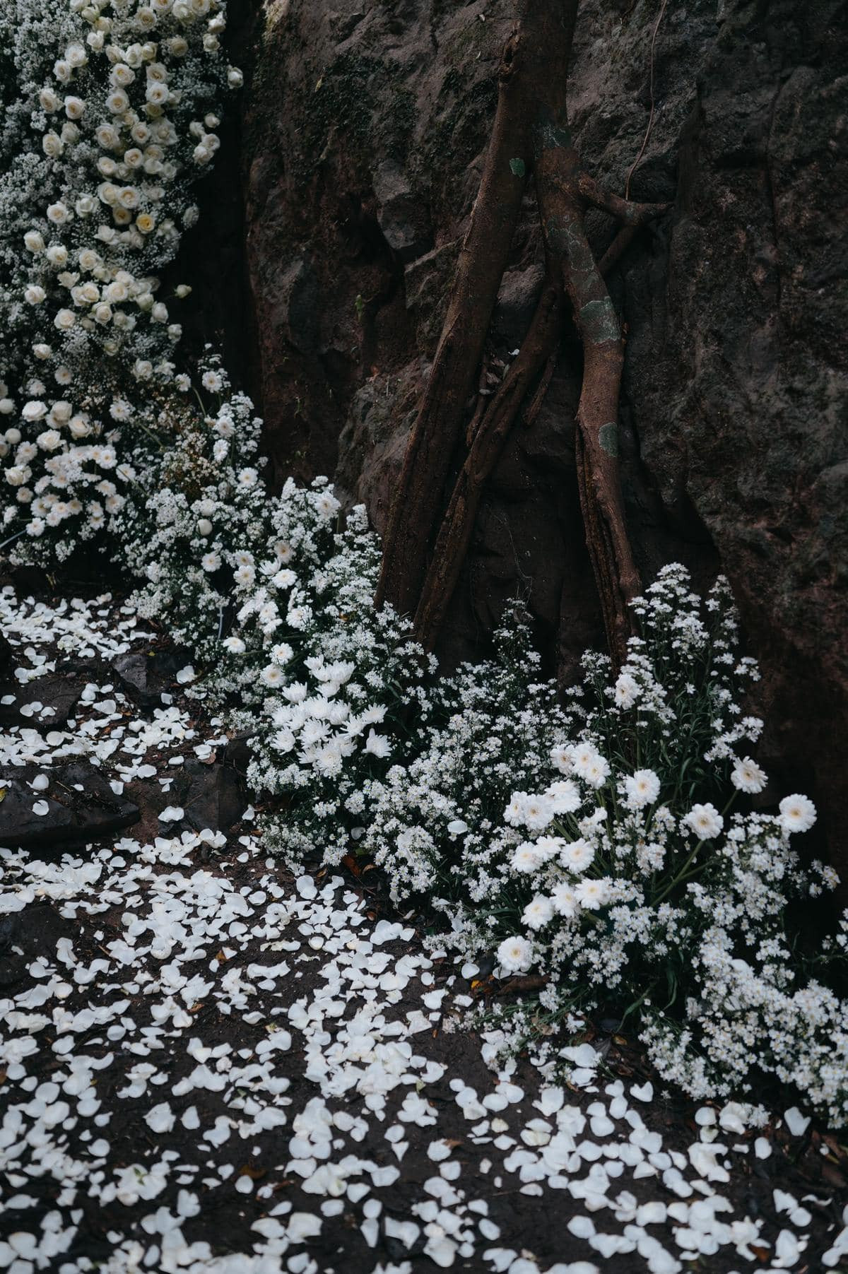 Khung cảnh nơi được cặp đôi lựa chọn thực hiện bộ ảnh cưới.