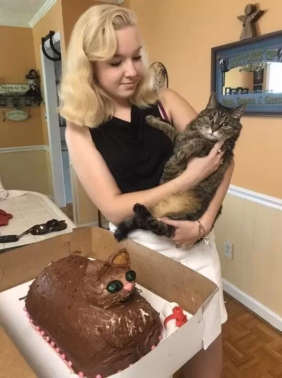 Đến chú mèo còn thấy "hoang mang" trước chiếc bánh sinh nhật thiết kế xấu thảm họa này .