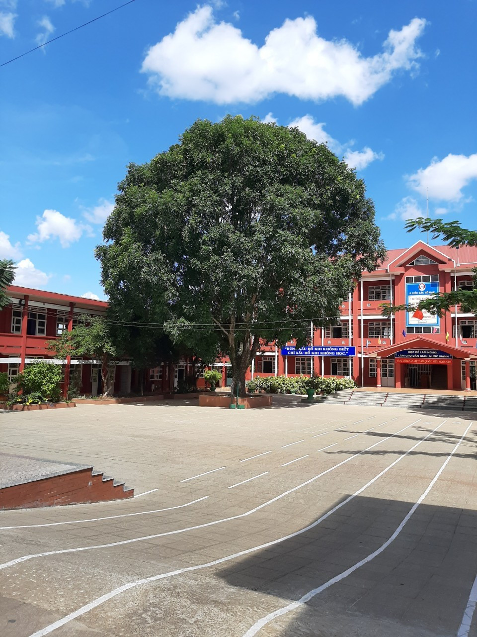 Voi va don ha cay phuong, cac hieu truong so trach nhiem?-Hinh-2