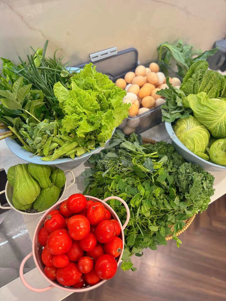 Nguyên liệu tạo nên những mâm cơm từ rau, trứng nhà sạch chuẩn organic của mẹ Ngoại.