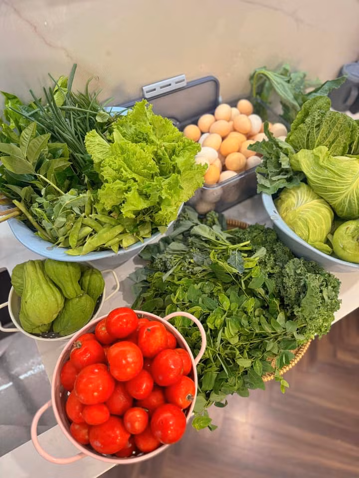 Nguyên liệu tạo nên những mâm cơm từ rau, trứng nhà sạch chuẩn organic của mẹ Ngoại.