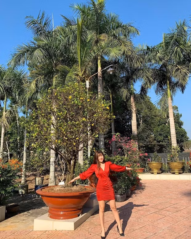 Đáp trả, Yến Xuân cho biết vườn rộng 3 mẫu nên một ngày chỉ quét được 1 lần. Hơn nữa mùa mưa ở quê, lá rụng rất nhiều nên không thể lúc nào cũng sạch sẽ được.