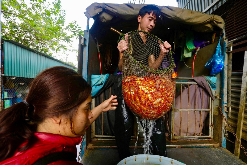  Chợ cá làng Sở Thượng (phường Yên Sở, quận Hoàng Mai, Hà Nội) mỗi ngày cung cấp hàng tấn cá cho các chợ đầu mối, đây cũng được coi là chợ cá lớn nhất của Hà Nội.