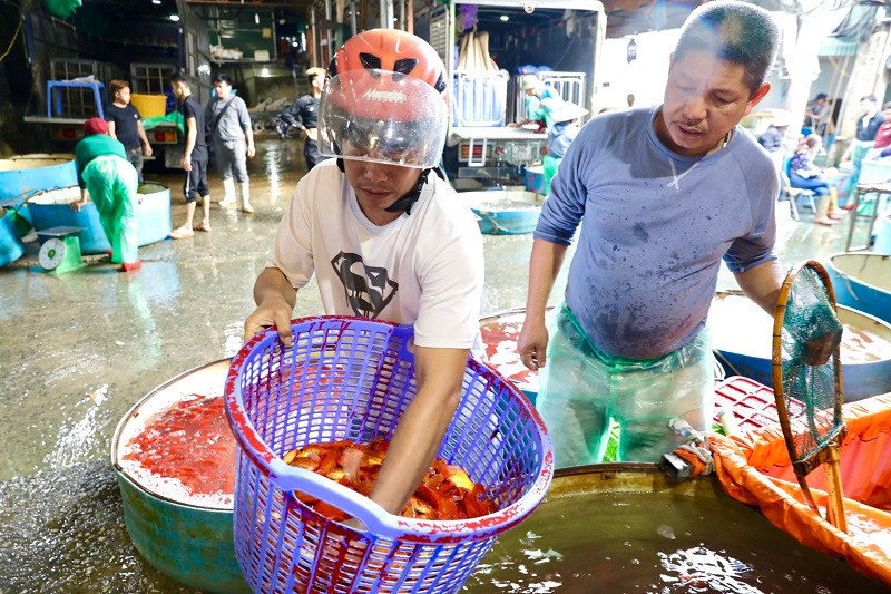 Người mua cá để bán thịt nói chung và cá chép nói riêng ở chợ cá làng Sở Thượng chủ yếu là để bán buôn.