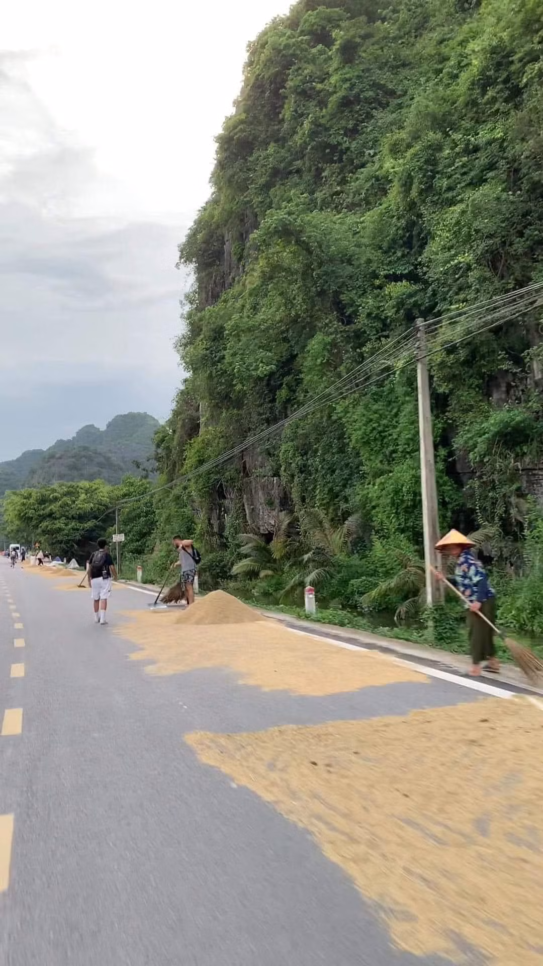 Người cào lúa, người quét, đoàn khách Tây chẳng nề hà gì mà cực nhiệt tình.