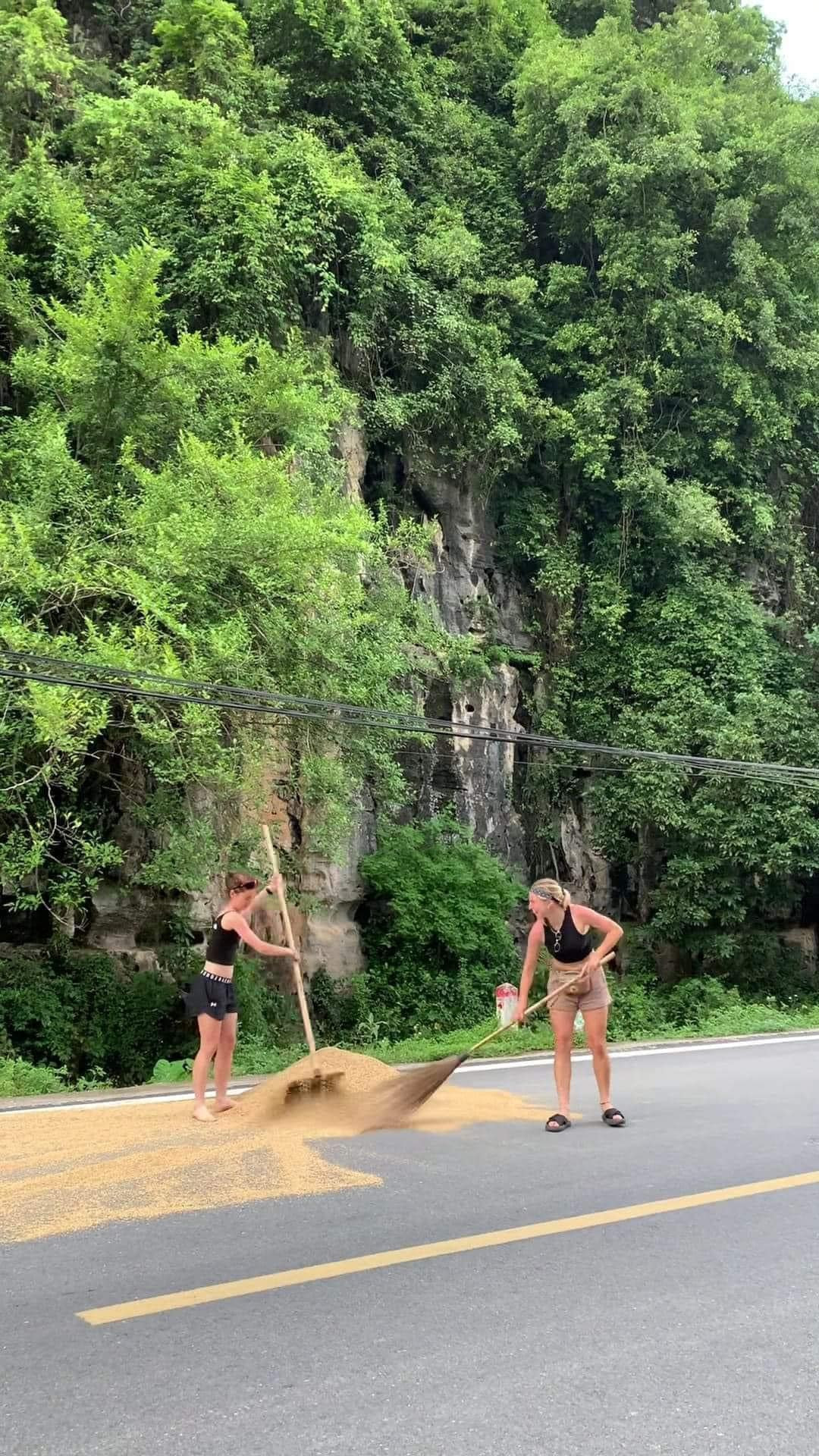 Mới đây, hình ảnh một đoàn khách Tây đang giúp bà con dồn lúa phơi trên đường khiến nhiều người không khỏi thích thú. Được biết đoàn khách này đi du lịch Ninh Bình thì bắt gặp cảnh bà con ở đây đang dồn lúa lại, và thế là mỗi người một tay, họ dừng lại giúp đỡ những người nông dân.