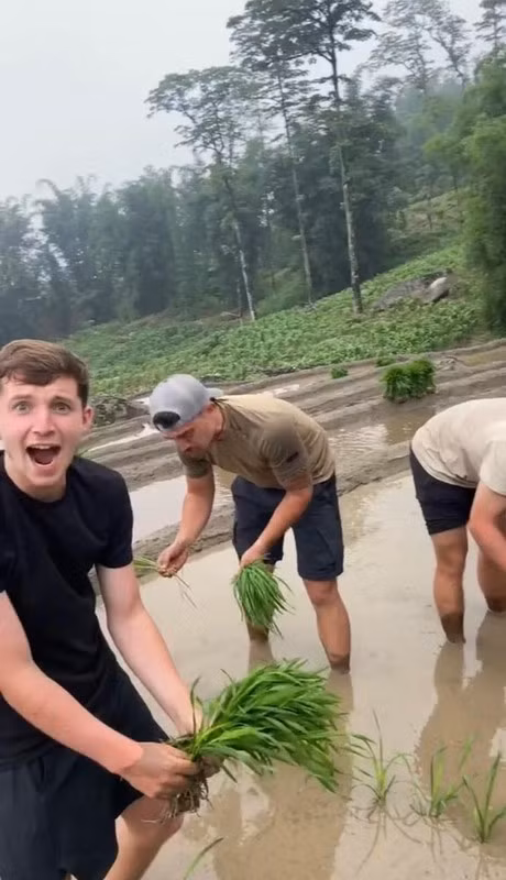 Cách đây không lâu, hình ảnh một đoàn khách Tây lội ruộng, cấy lúa cũng được lan truyền mạnh mẽ trên mạng xã hội.