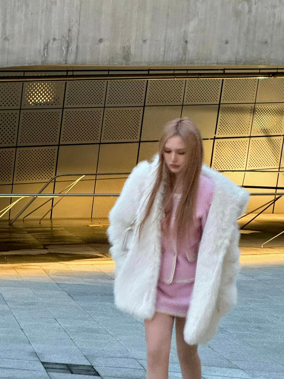 Hình ảnh chất lượng thấp nhưng Xoài thì chất lượng cao