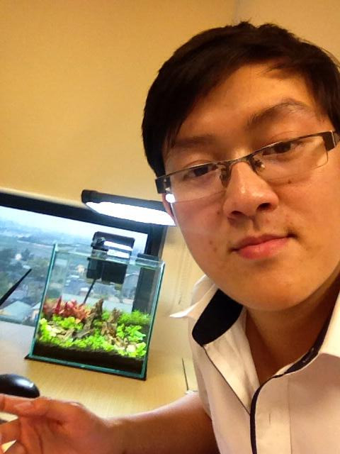 Một bạn trẻ có nickname Thành Móm (đang sinh sống tại Hà Nội) cũng chia sẻ: "Chơi tép cuốn hút lắm nhưng mà cũng hơi tốn kém. Nếu muốn tép lên màu đẹp chỉ cần cho tép ăn lá dâu để lên màu, thi thoảng cho ăn tảo Nhật và cho ăn ít tim bò sống, đảm bảo tép to béo và lên màu đẹp". Ảnh: NVCC. 