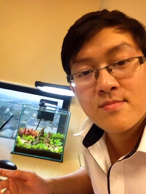 Một bạn trẻ có nickname Thành Móm (đang sinh sống tại Hà Nội) cũng chia sẻ: "Chơi tép cuốn hút lắm nhưng mà cũng hơi tốn kém. Nếu muốn tép lên màu đẹp chỉ cần cho tép ăn lá dâu để lên màu, thi thoảng cho ăn tảo Nhật và cho ăn ít tim bò sống, đảm bảo tép to béo và lên màu đẹp". Ảnh: NVCC. 