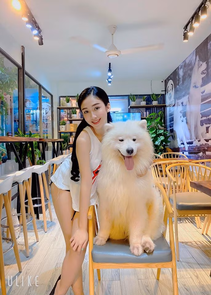 Bên cạnh đó, Mỹ Chi vẫn làm công việc MC của kênh VTV9. Cô nàng được yêu mến bởi giọng nói ngọt ngào, gương mặt xinh và khéo léo.