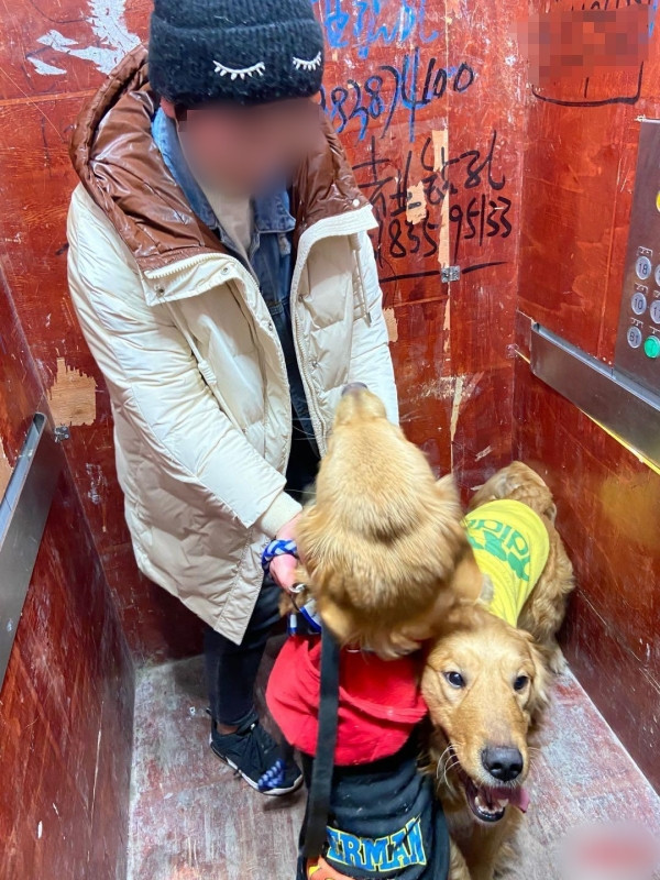 Mới đây, dân mạng Trung Quốc xôn xao trước thông tin một cô gái 9X cùng hai chú chó bị cảnh sát bắt vì...ở bẩn. Một loạt các bức hình về không gian sống của cô gái hai hai chú chó cũng được đăng tải kèm theo khiến ai nấy đều vã mồ hôi, không hiểu tại sao cô gái này lại có thể ở được trong căn phòng bẩn như bãi rác.