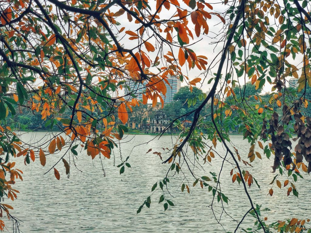 Mùa thu đến cũng là lúc vẻ cổ kính của Hà thành nổi bật hơn bao giờ hết. Tháp Rùa thêm phần rêu phong cổ kính khi đặt cùng vòm lá đang đổ màu. Ảnh: Zing.vn.
