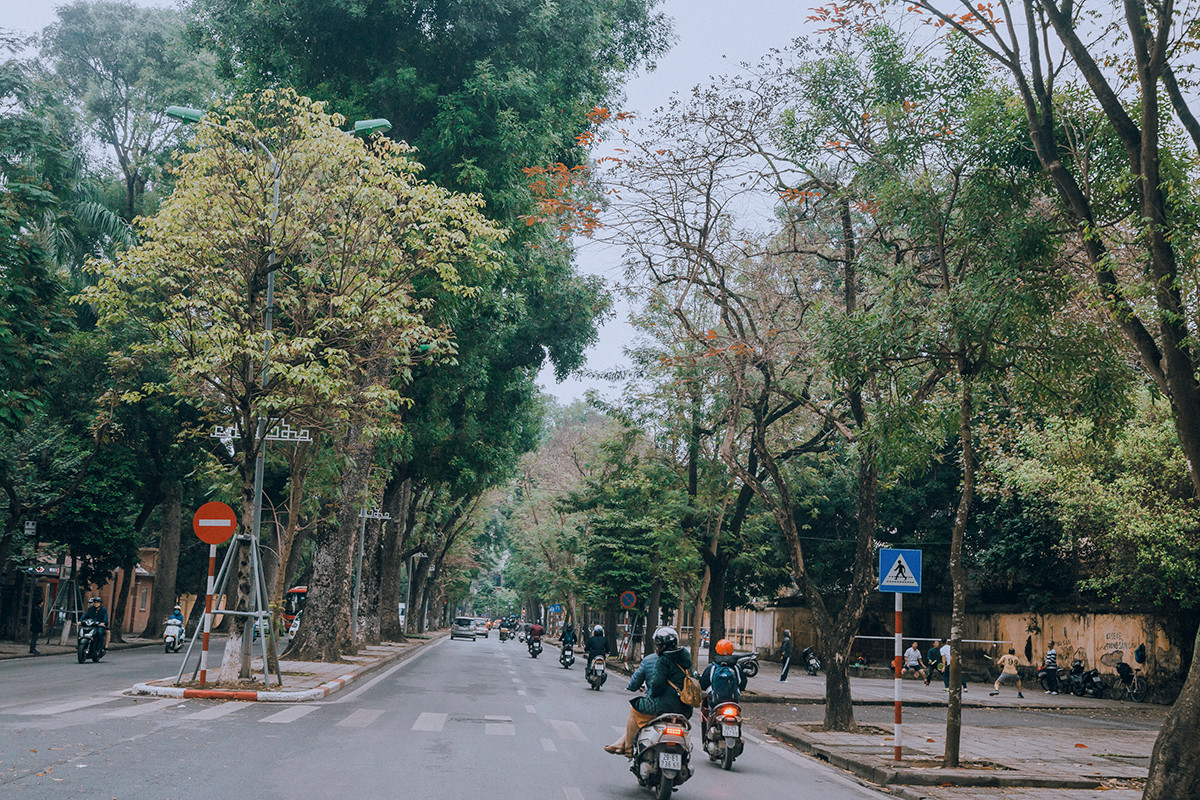 Con phố Phan Đình Phùng là điểm đến vàng của Hà Nội trong những ngày thời tiết se lạnh. Với mặt đường rộng rãi và hai hàng cây cổ thụ sát ven đường, đây xứng danh là một trong những con phố “thơ” nhất Hà Nội. Ảnh: VTC.