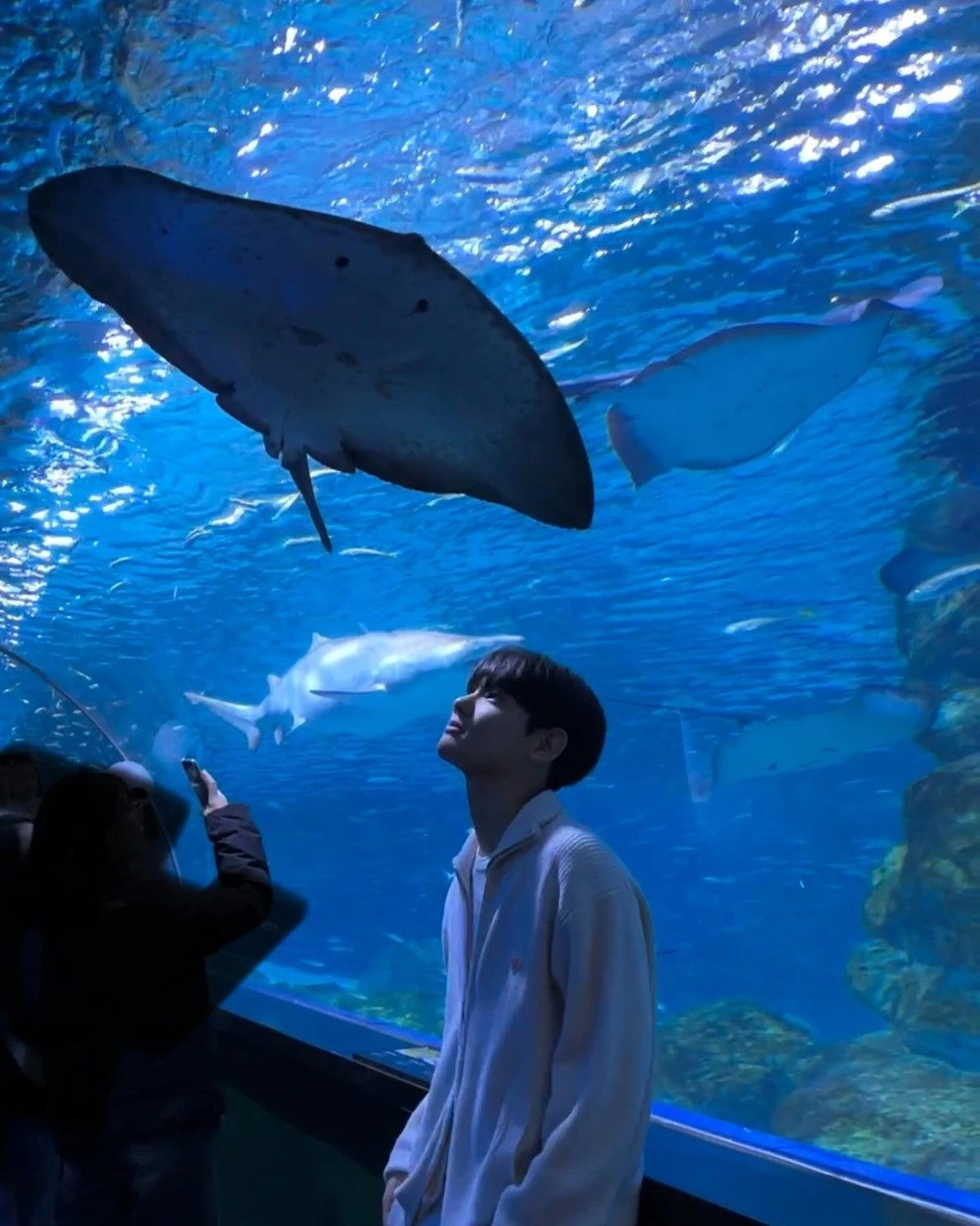 Park Geon Roung hiện là một trong 4 thành viên của nhóm nhạc dành cho trẻ em Play with Me Club. Trên trang Instagram cá nhân sở hữu 110.000 lượt theo dõi, chàng trai thường đăng tải những hình ảnh đời thường và các video thử thách nhảy vui nhộn cùng bạn bè.