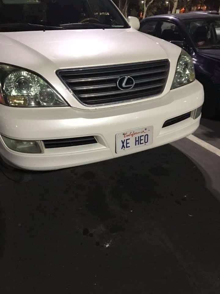 Cuoi muon tat tho vi bien so xe cua nguoi Viet o nuoc ngoai-Hinh-4