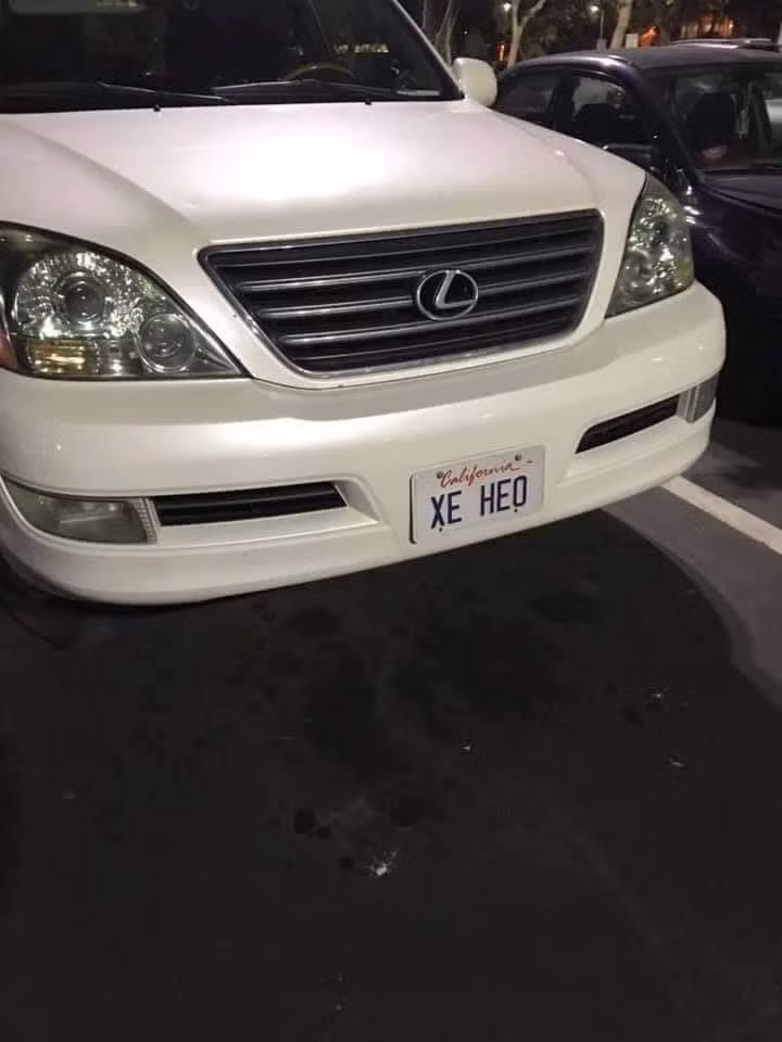 Cuoi muon tat tho vi bien so xe cua nguoi Viet o nuoc ngoai-Hinh-4