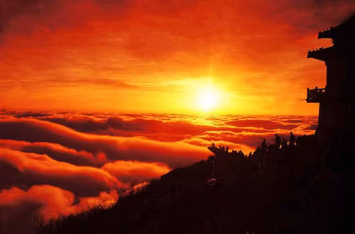 Ngoài đình đài, chùa và điện, Thái Sơn còn có rất nhiều di sản quý của tự nhiên, trong đó gồm có hàng vạn cây cổ thụ trên 100 năm tuổi, đặc biệt là cây ngân hạnh trong đền có niên đại 2.000 năm tuổi được mệnh danh là “hóa thạch sống”.