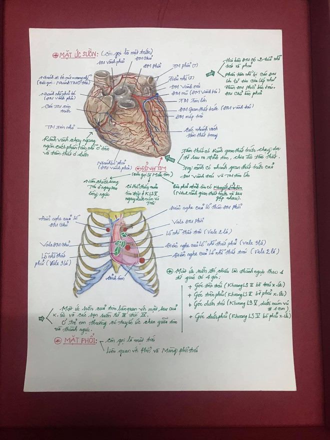 Chia sẻ về kinh nghiệm học tập, Tài bật mí ngoài thời gian học trên lớp anh thường lên các trang y học nước ngoài để tìm kiếm thông tin, trau dồi kiến thức. Với chàng trai sinh năm 1997, theo đuổi ngành y phải học tập, nghiên cứu suốt đời. Những lúc học tập căng thẳng Tài thường tìm đến hội hoạ. Những bức tranh giúp 9X cảm thấy thư giãn.