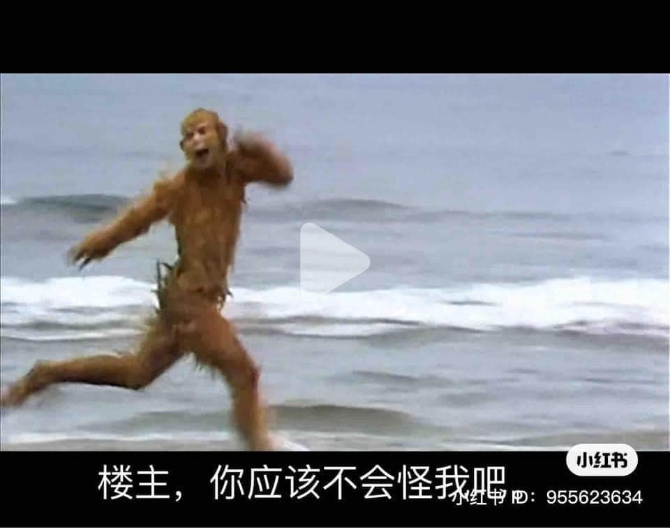 Nhiều người ngay lập tức liên tưởng đến cảnh trong "Tây du ký", khi Tôn Ngộ Không vừa mới được sinh ra từ phiến đá.