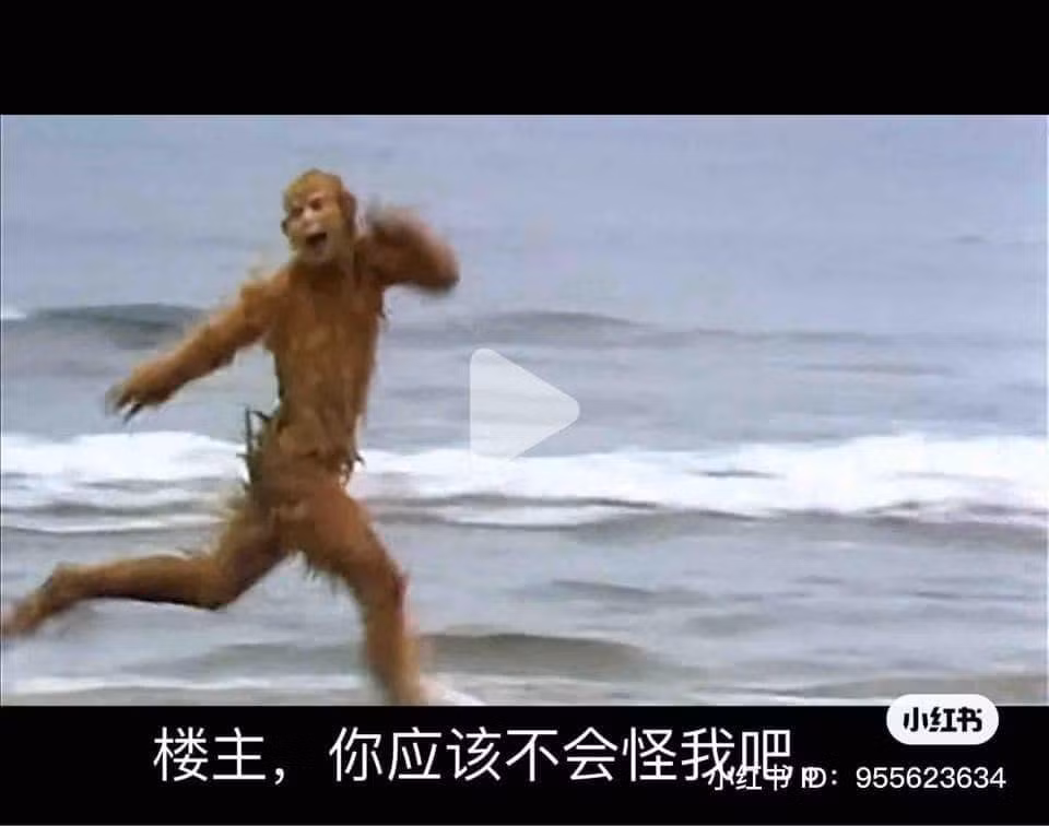 Nhiều người ngay lập tức liên tưởng đến cảnh trong "Tây du ký", khi Tôn Ngộ Không vừa mới được sinh ra từ phiến đá.