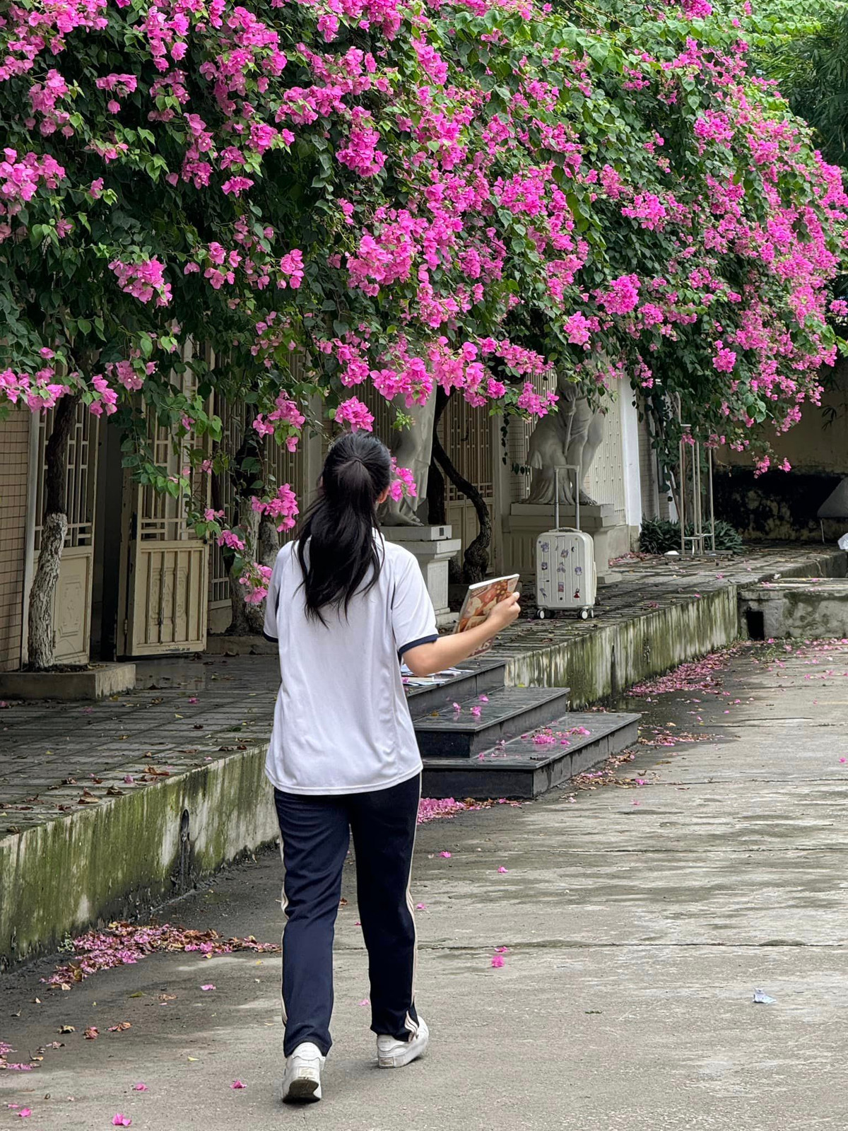 Trong những bức ảnh đăng tải trên trang cá nhân, Lê Bống diện bộ đồng phục thể dục của sinh viên và điểm nhấn chính là nhan sắc tươi tắn của cô nàng.