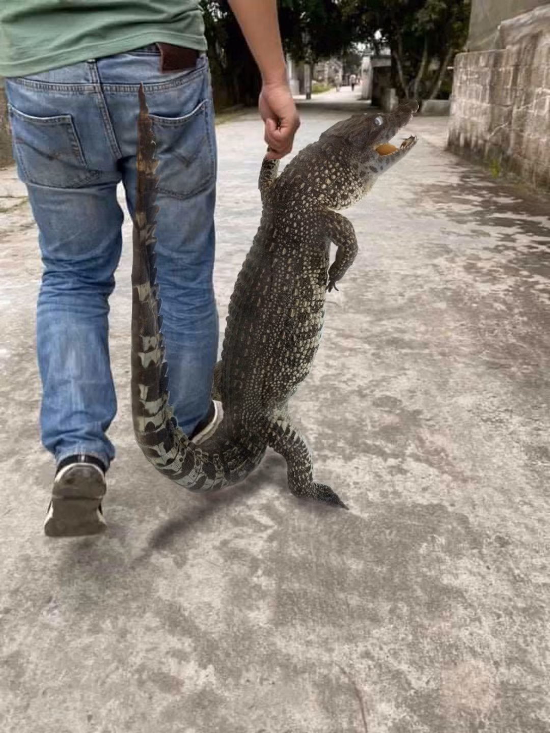 Nhờ dân mạng chỉnh ảnh đúng là chỉ nhận được những cái kết thảm hoạ. Thử hỏi mang những bức hình này đi tán gái thì ai "đổ" hay lại chỉ mang danh bốc phét.