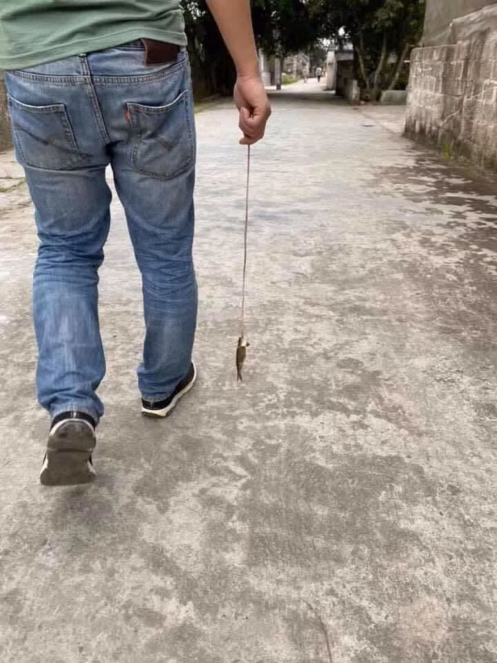  Nhờ dân mạng sửa ảnh là việc làm mạo hiểm vô cùng bởi rồi bạn sẽ không biết những tấm hình của mình sẽ biến thành như thế nào. Thế nhưng, nhiều trường hợp túng quẫn quá, vẫn phải nhờ các "thánh troll" giúp đỡ. Mới đây, một người em có tâm đã đăng tải hình ảnh anh trai mình lên cùng lời cầu cứu : "Anh tớ đi câu cả buổi chiều được có nhiêu đây. Ông bảo quyết câu đem chiến tích đi cưa gái vì anh muốn lấy vợ rồi. Ai photoshop con cá hộ anh tớ với".