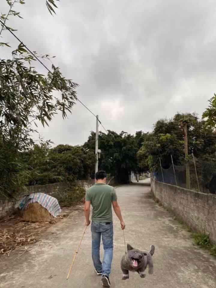 Chẳng liên quan nhưng idol Nguyễn Văn Dúi vẫn bị dân mạng ghép ảnh, đúng là làm chó nổi tiếng khổ thật.