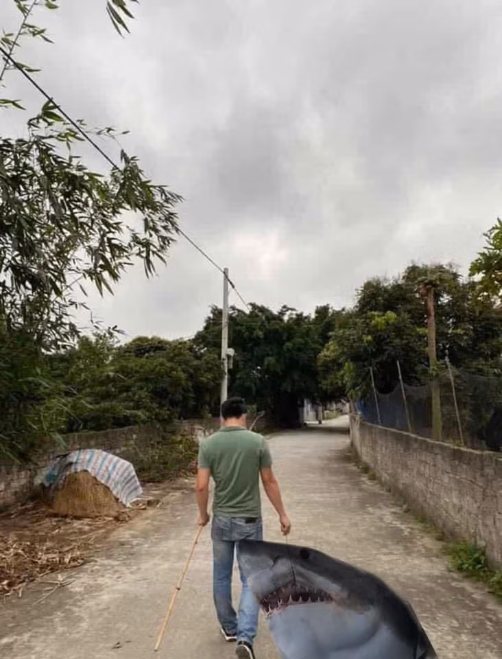 Ngay lập tức, các "thánh troll" đã xuất hiện để trợ giúp chàng trai sớm lấy vợ, thế nhưng thành quả lại chẳng có lấy một bức hình được chỉnh sửa tử tế. Cá bình thường thì chẳng thấy đâu mà lại toàn câu được cá mập, cá sấu,...