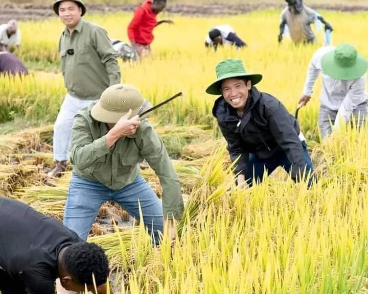 Ở Angola chưa có máy xay xát hiện đại nên chủ yếu mọi người tự gặt lúa, mang về đập.