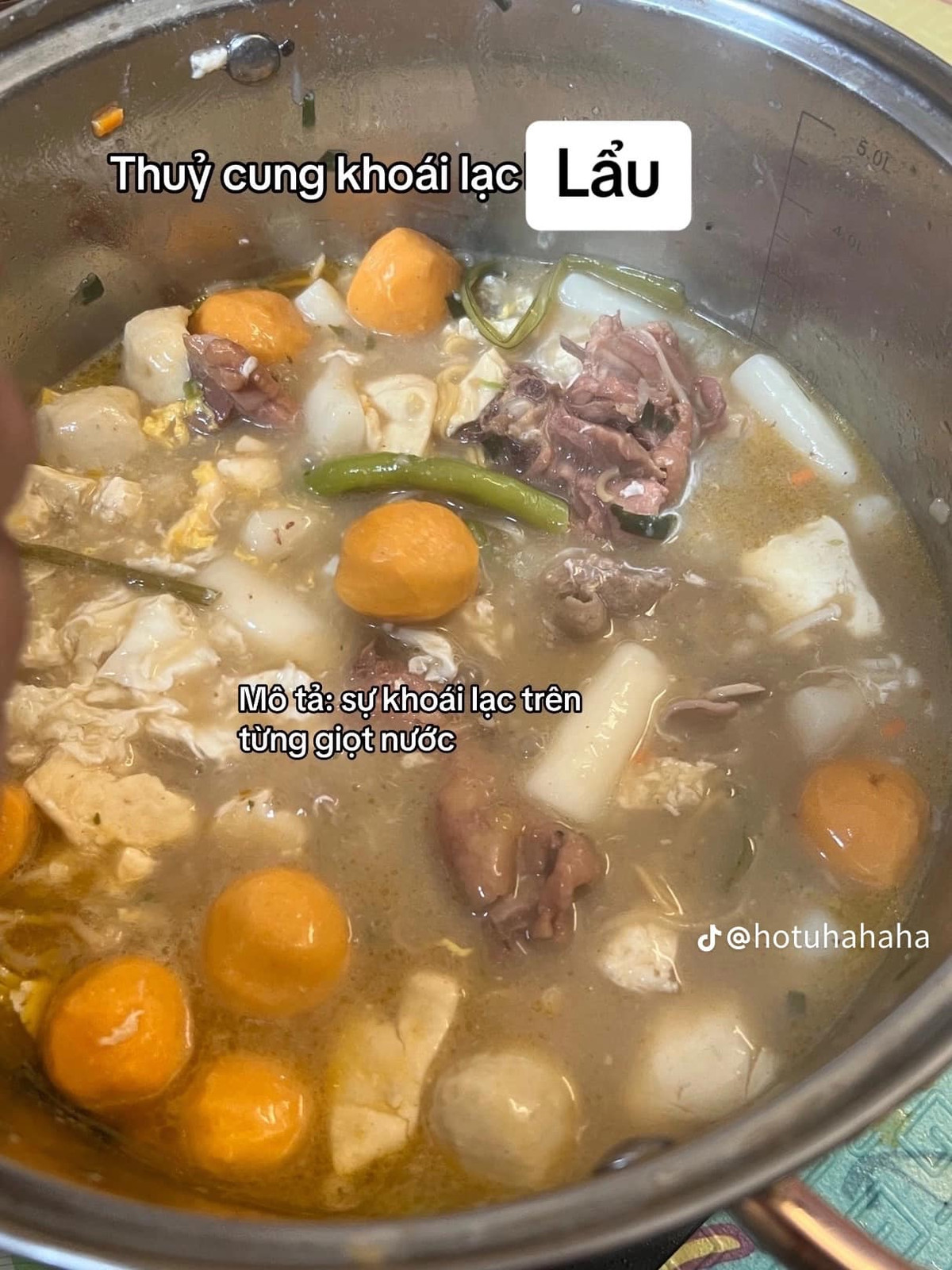 Thủy cung khoái lạc: lẩu.