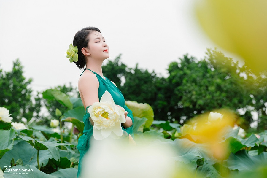 Hình ảnh hoa sen từ lâu đã gắn liền với ca dao, tục ngữ, gắn liền với đời sống và con người Việt Nam nói chung và người Hà thành nói riêng. (Ảnh: Thịnh Seven)