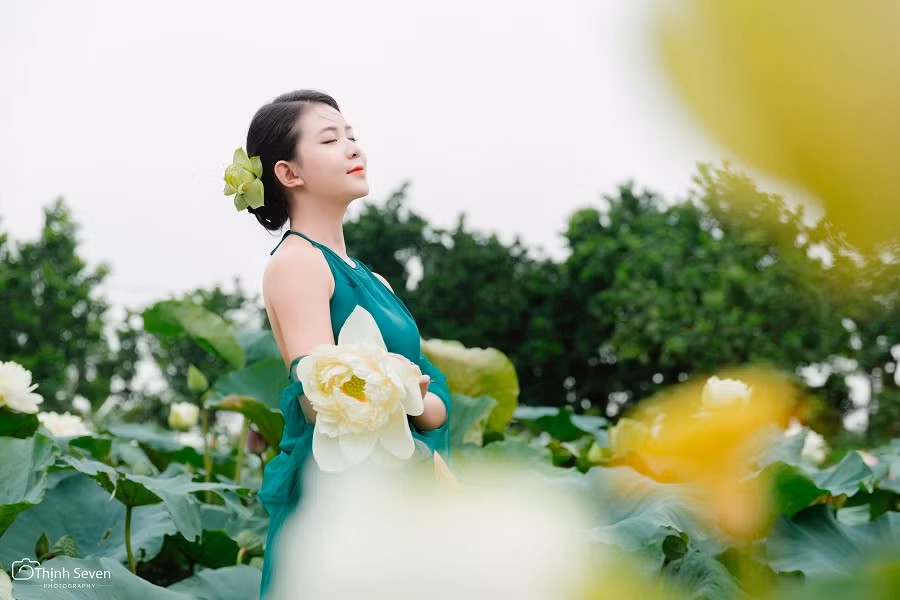 Hình ảnh hoa sen từ lâu đã gắn liền với ca dao, tục ngữ, gắn liền với đời sống và con người Việt Nam nói chung và người Hà thành nói riêng. (Ảnh: Thịnh Seven)