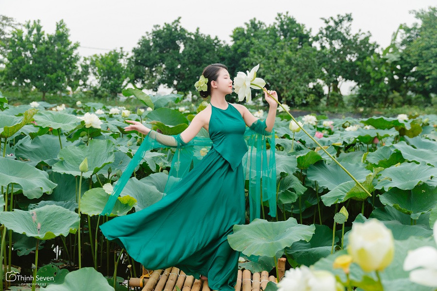 Mùa sen thường kéo dài đến đầu tháng 9 nhưng thời kì hoa đẹp nhất, thơm nhất là từ cuối tháng 5 đến nửa cuối tháng 6.Thời điểm hoa sen nở đẹp nhất vào khoảng 5 -7h hàng ngày, ngậm hương sắc từ đêm hôm trước và những giọt sương đọng lại trên lá. Đặc biệt vào buổi sáng nắng ban mai vẫn chưa quá gắt, giúp khung cảnh đầm sen thêm phần thơ mộng. "Đây cũng là thời điểm lên hình đẹp nhất" - Thịnh Seven, người thực hiện bộ ảnh chia sẻ.