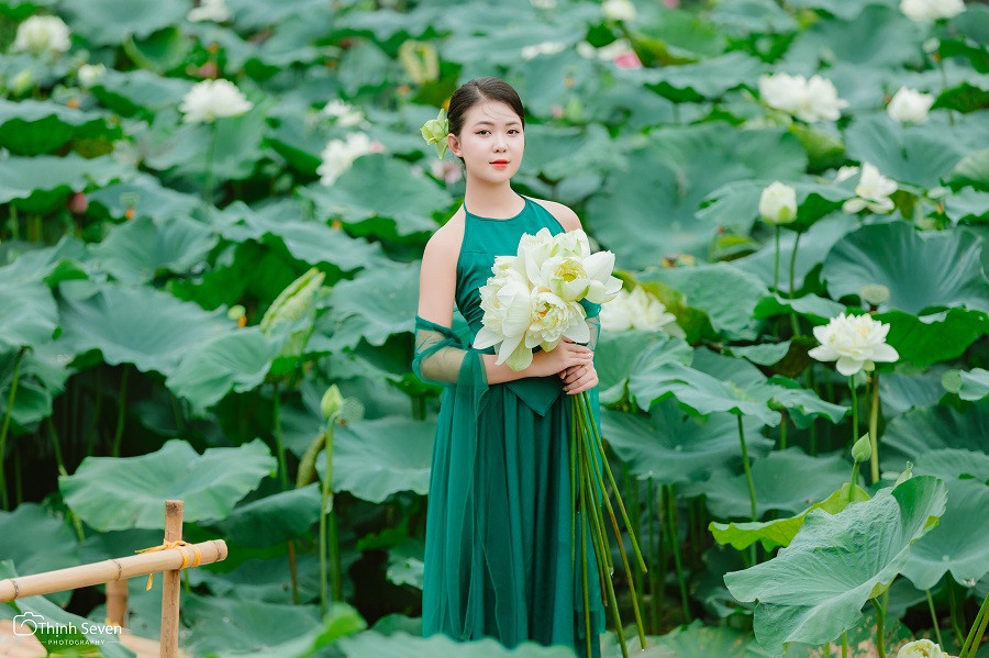 Hoa sen có nhiều loại và nhiều màu sắc khác nhau. Sen trắng như hình còn có tên gọi tao nhã là Bạch Liên.