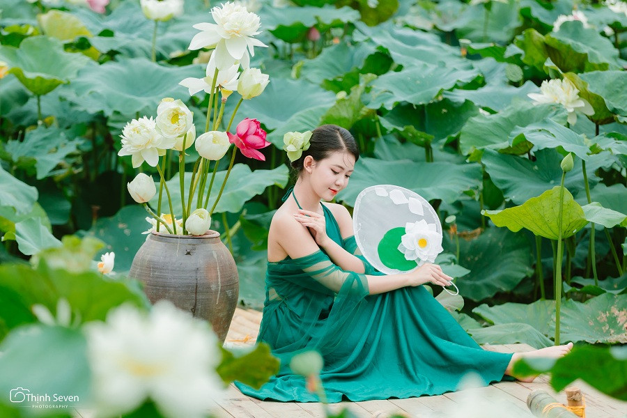 Bộ ảnh chụp sen đầu mủa của nàng hoa khôi Trí Tuệ Nhan Sắc 2022 Phạm Khánh Huyền khiến nhiều người không khỏi rời mắt. Giữa đầm sen trắng tinh khiết đang e ấp khoe sắc khoe hương, cô nàng xuất hiện giữa khung hình với vẻ đẹp dịu dàng, duyên dáng.