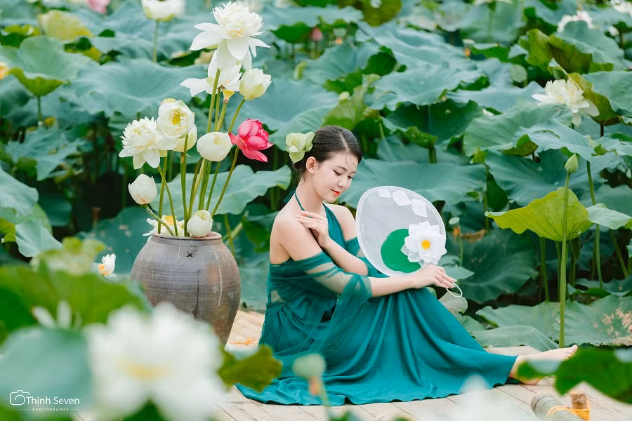 Bộ ảnh chụp sen đầu mủa của nàng hoa khôi Trí Tuệ Nhan Sắc 2022 Phạm Khánh Huyền khiến nhiều người không khỏi rời mắt. Giữa đầm sen trắng tinh khiết đang e ấp khoe sắc khoe hương, cô nàng xuất hiện giữa khung hình với vẻ đẹp dịu dàng, duyên dáng.