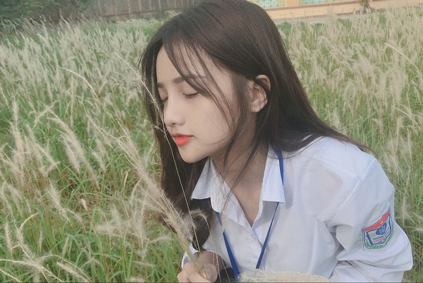 Nguyện vọng của Thanh Hằng là thi vào Học viện Âm nhạc hoặc Đại học Văn hóa Nghệ thuật Quân đội. Ban đầu, gia đình không đồng ý cho Hằng theo con đường nghệ thuật nhưng thấy quyết tâm của con gái nên bố mẹ cô nàng dần chuyển sang ủng hộ.