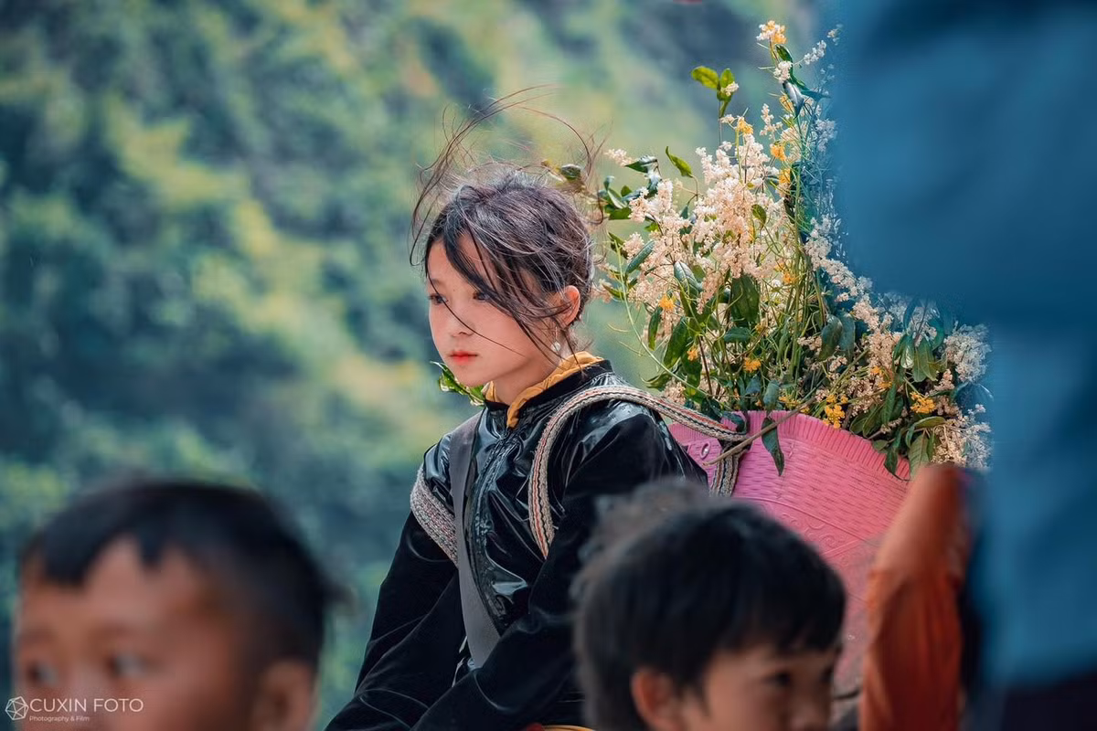 Dù cô bé không mỉm cười, nhưng thần thái toát lên sự lạnh lùng, thanh cao của em khiến nhiều người không khỏi xuýt xoa.