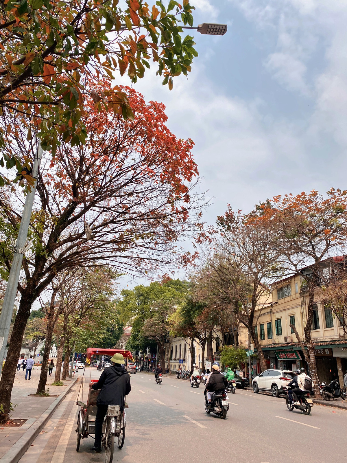 Hình ảnh những chiếc xích lô đi lại giữa lòng đường, 2 bên là hàng cây đang thay lá gợi về 1 hình ảnh Hà Nội xưa cũ