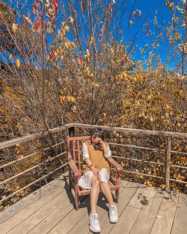 Chang can vi vu tan troi Au, Da Lat la “thien duong song ao” mua la do